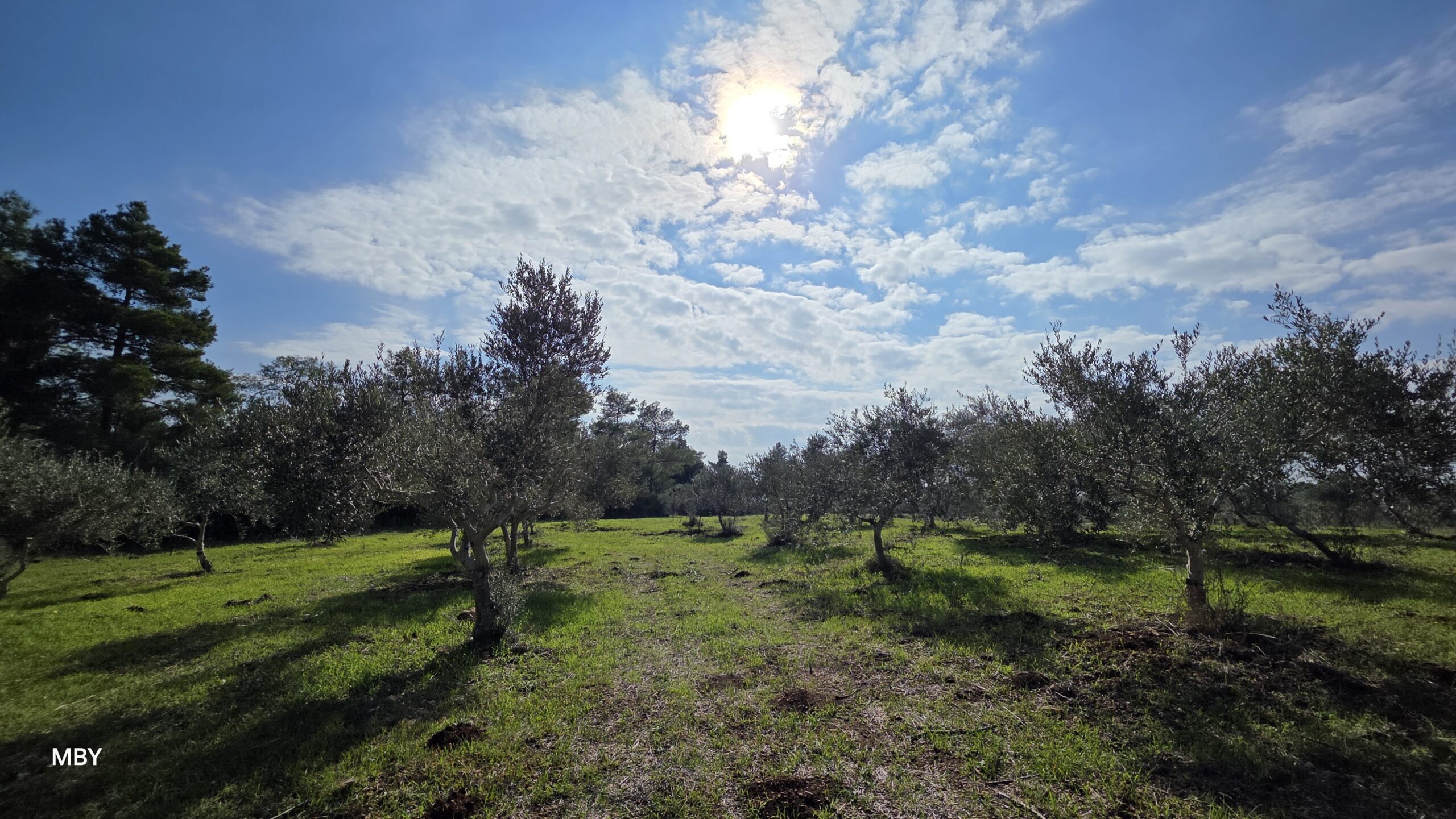 צירוסים וסטרטוקומולוסים_ענני נוצה וכבשים