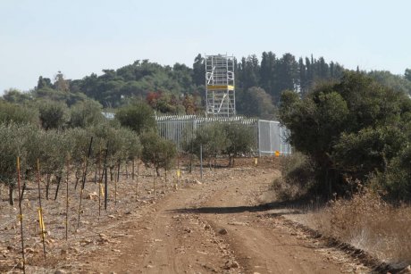 מצלמה רב ערוצית