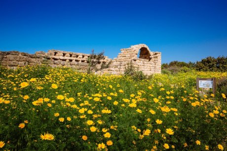 Ramat Hanadiv Nature Park, Israel.