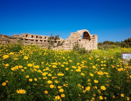 Ramat Hanadiv Nature Park, Israel.