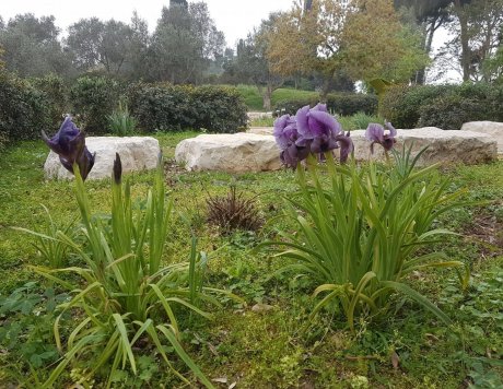 20170310_073039