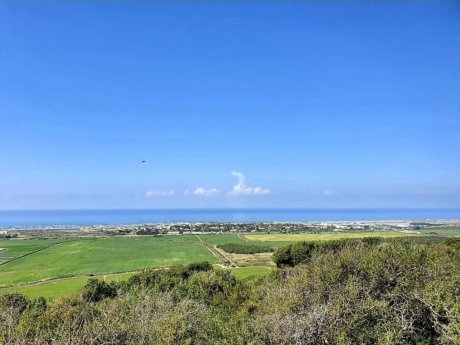 manor trail view