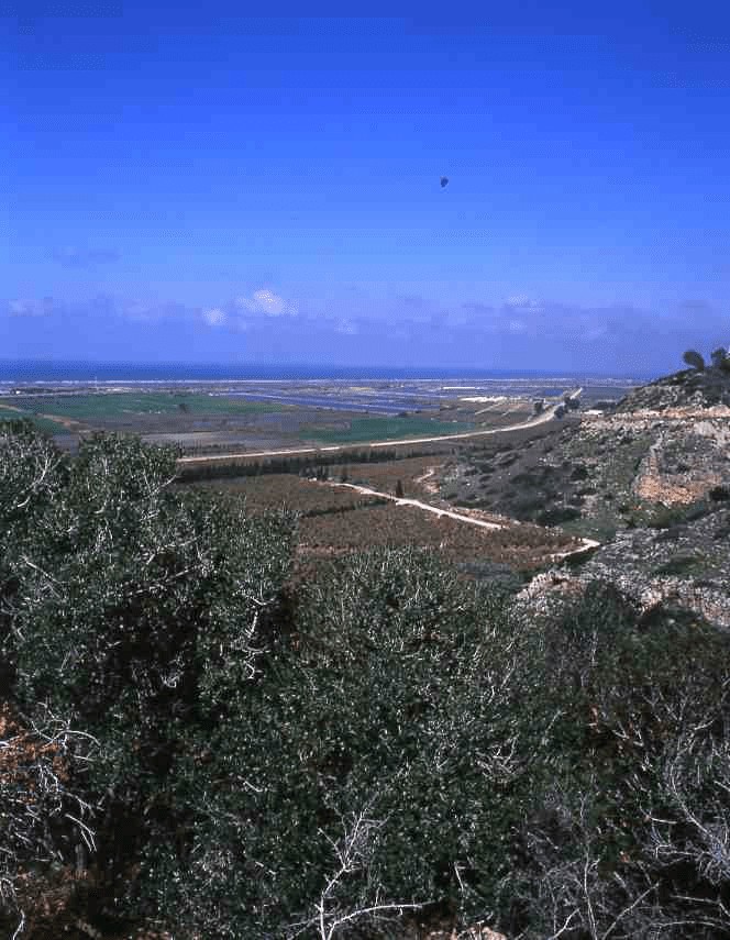 תצפית מכלוב הנשרים