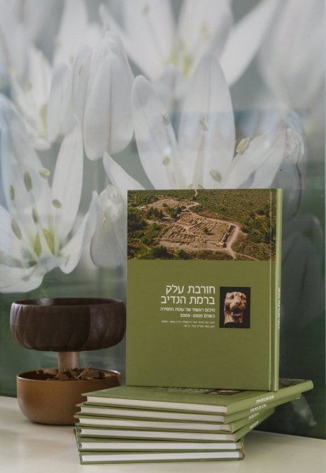 013119dima.val@gmail.comדימה ולרשטיין7G0A9692