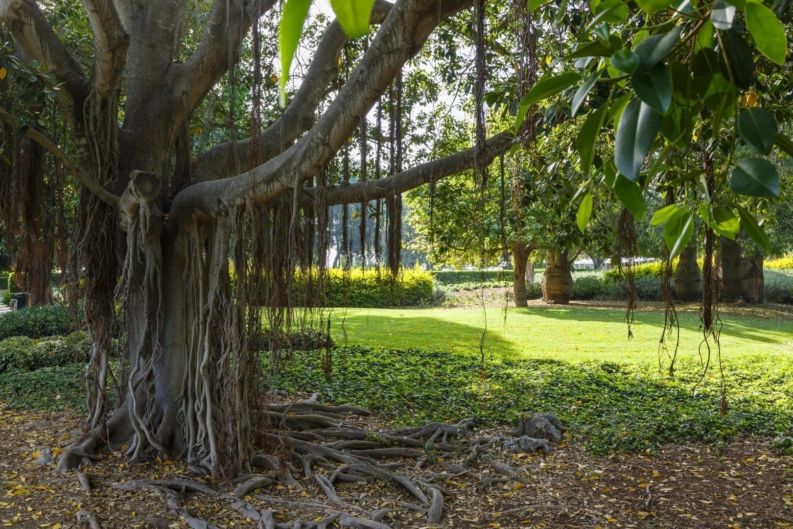 Ramat Hanadiv Gardens, May 2018, Zichron Yaacov, Israel.