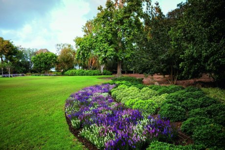 Ramat Handiv gardens, Zichron Yaacov, Israel.