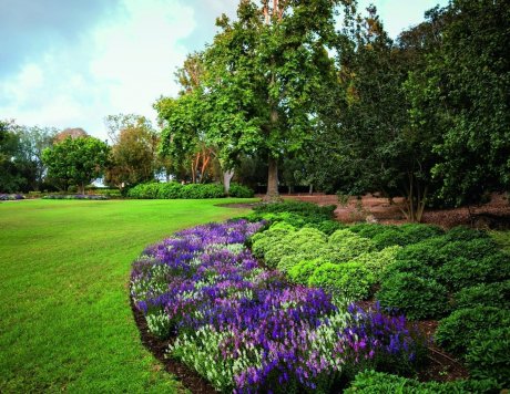 Ramat Handiv gardens, Zichron Yaacov, Israel.