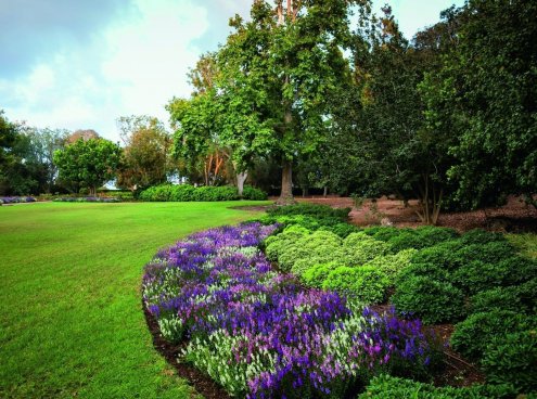 Ramat Handiv gardens, Zichron Yaacov, Israel.