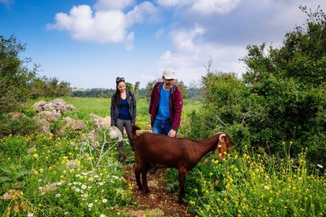 Ramat Hanadiv Nature Park, Israel.