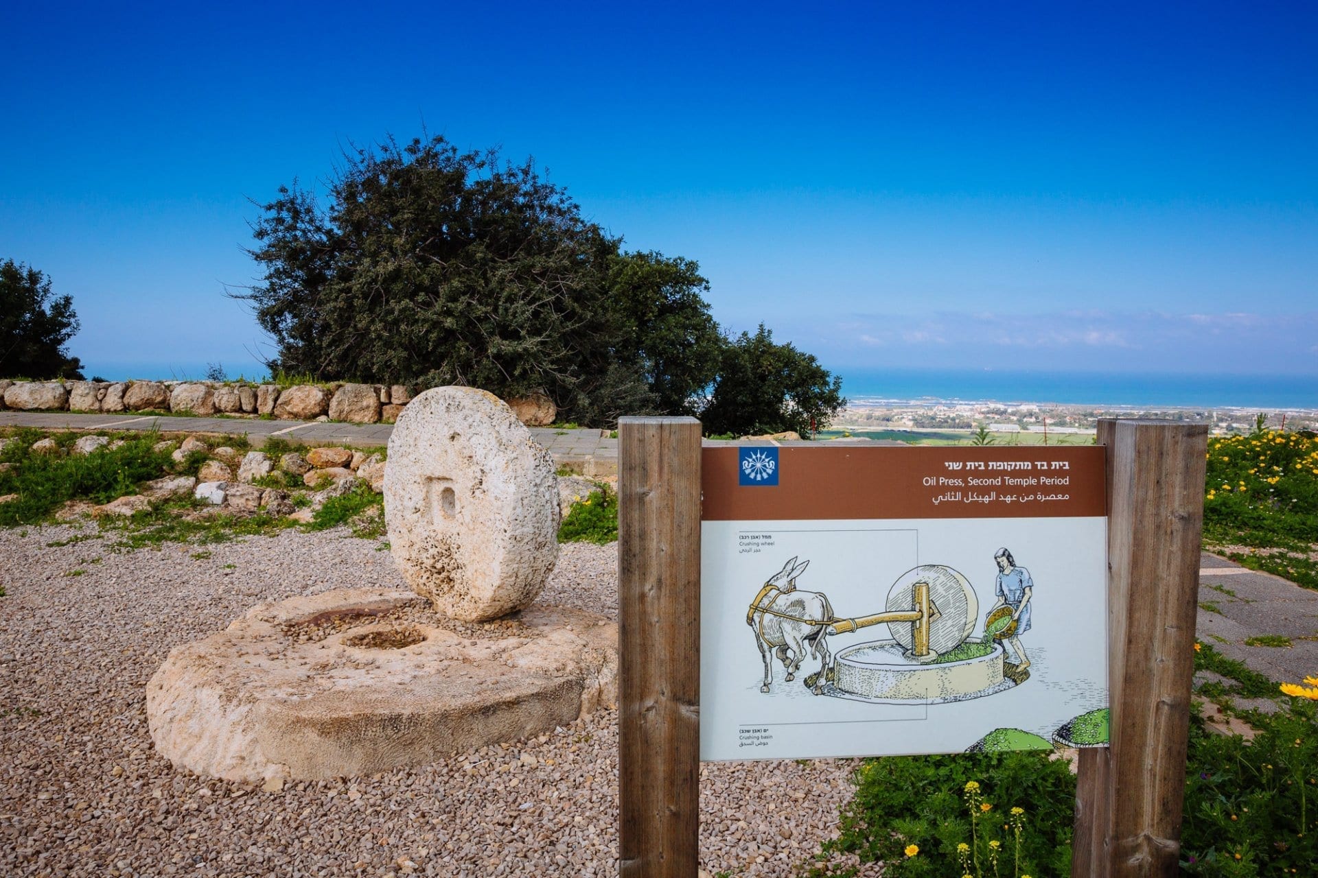 Ramat Hanadiv Nature Park, Israel.