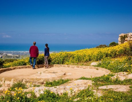 Ramat Hanadiv Nature Park, Israel.