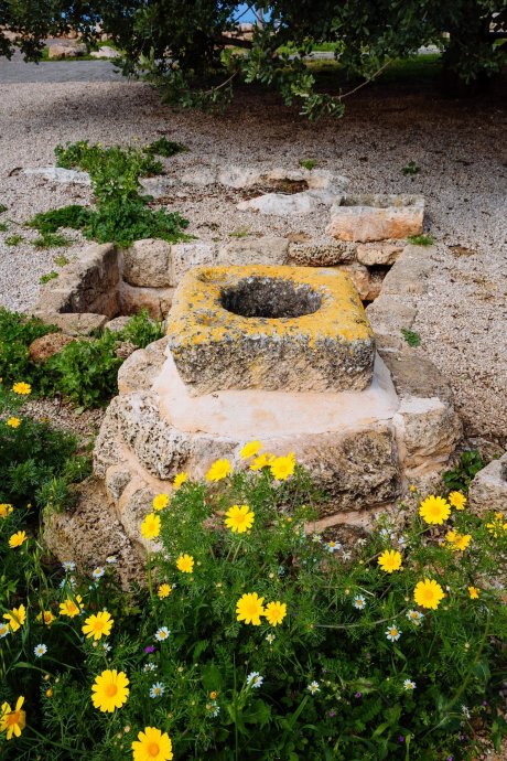 Ramat Hanadiv Nature Park, Israel.