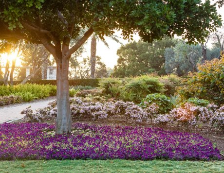 Ramat Hanadiv Gardens, Zichron Yaacov, Israel.