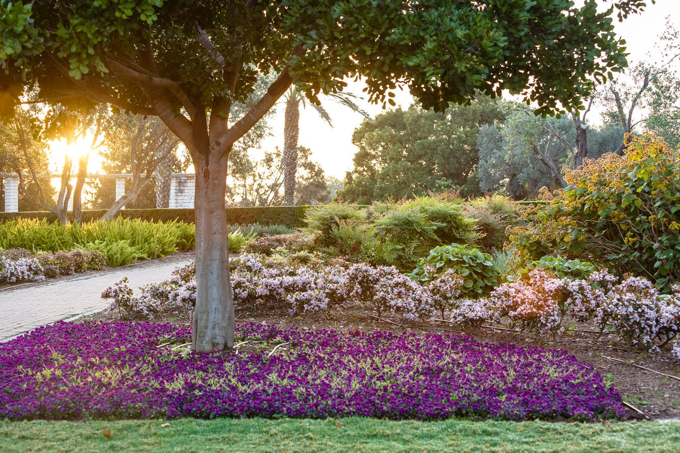 Ramat Hanadiv Gardens, Zichron Yaacov, Israel.