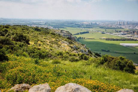 Ramat Hanadiv Nature Park, Israel.