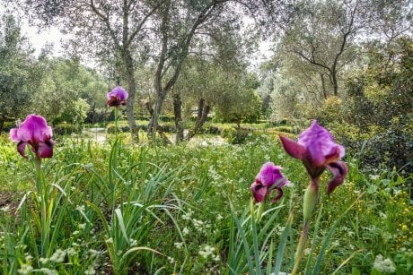 Ramat Hanadiv Gardens, Zichron Yaacov, Israel.