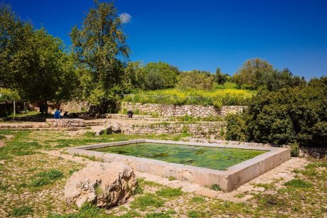 Ramat Hanadiv Nature Park, Israel.