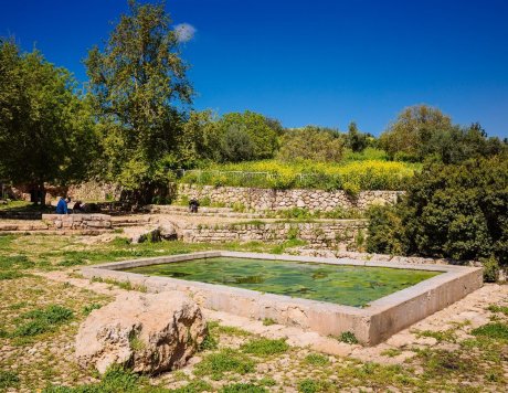 Ramat Hanadiv Nature Park, Israel.