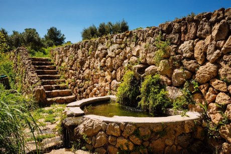 Ramat Hanadiv Nature Park, Israel.