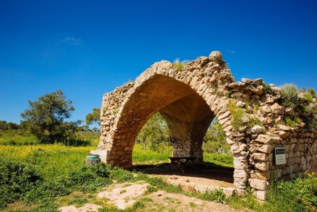 Ramat Hanadiv Nature Park, Israel.