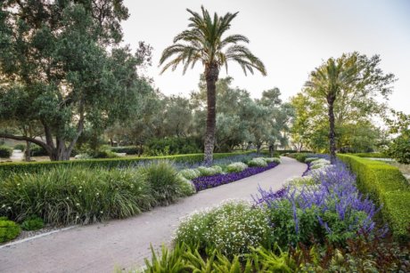 Ramat Hanadiv Gardens, May 2018, Zichron Yaacov, Israel.