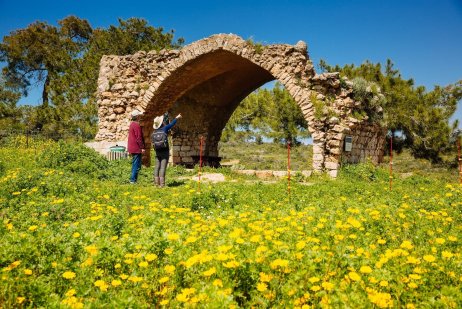 Ramat Hanadiv Nature Park, Israel.