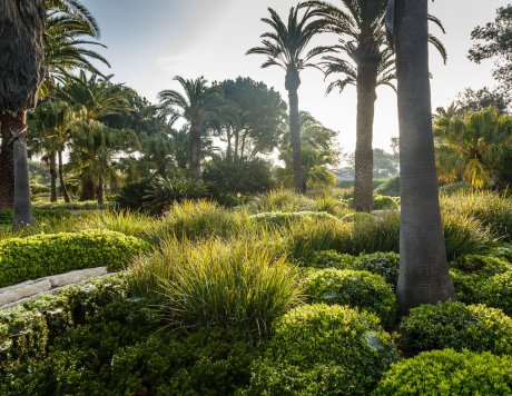 Ramat Hanadiv Gardens, Zichron Yaacov, Israel.