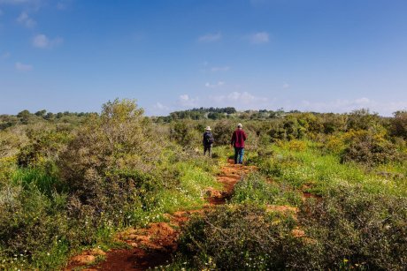 Ramat Hanadiv Nature Park, Israel.