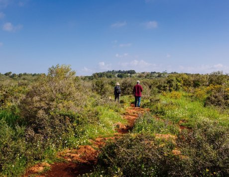 Ramat Hanadiv Nature Park, Israel.