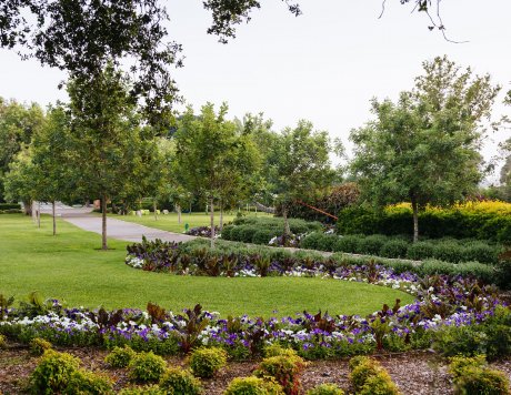 Ramat Hanadiv Gardens, May 2018, Zichron Yaacov, Israel.