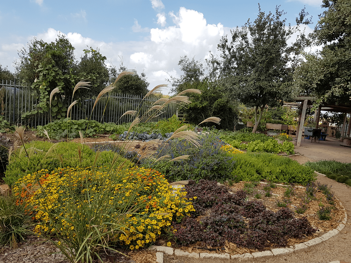 הגינה הטיפולית ברמת הנדיב