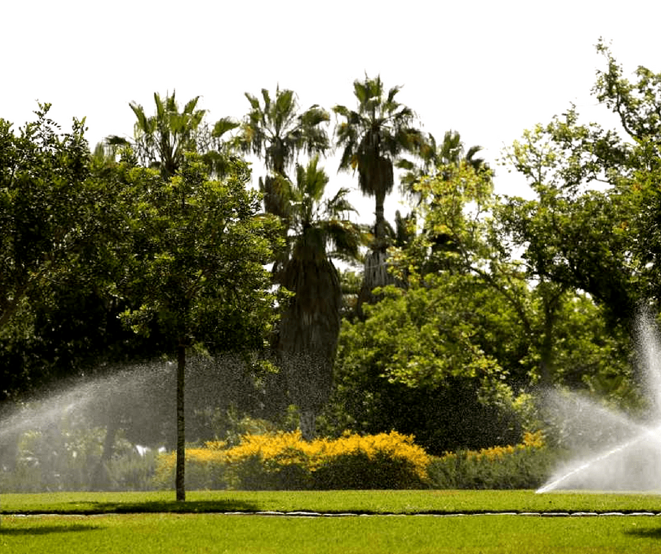 השקייה בגנים (1)