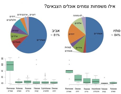 משפחות צמחים