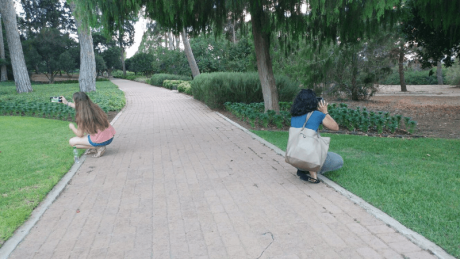 נשים מצלמות בגן