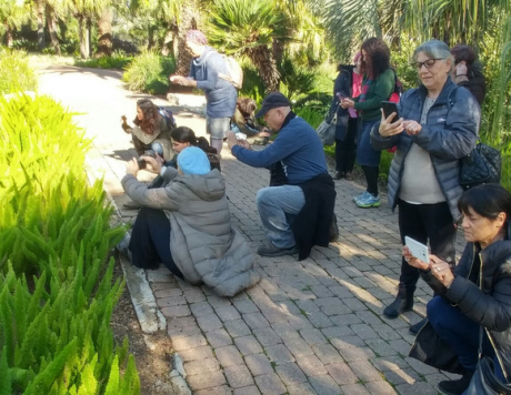 קבוצה מצלמת בגנים