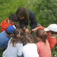 kids-exploring-nature-aspect-ratio-1x1