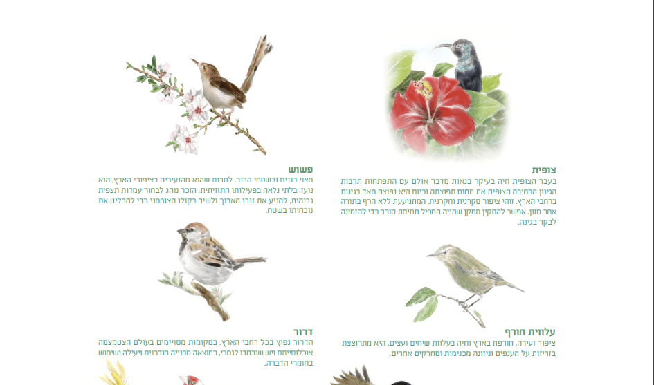 ציפורים-בגני2ם-aspect-ratio-127.2x75