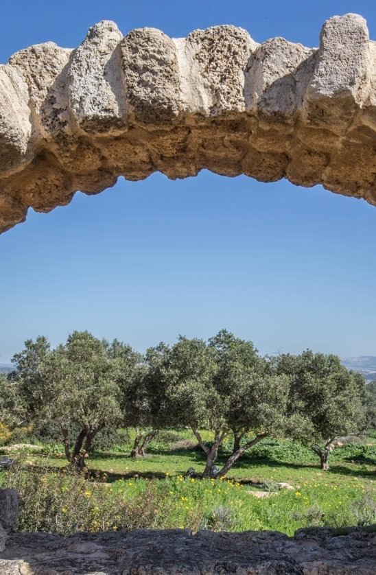 Ramat Hanadiv Memorial Gardens and Nature Park