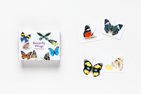 Butterfly Wings open