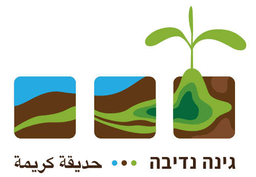 Gina_Nediva_Logo_05F_sml-aspect-ratio-x