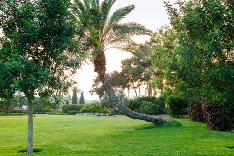 Ramat Hanadiv Gardens, May 2018, Zichron Yaacov, Israel.