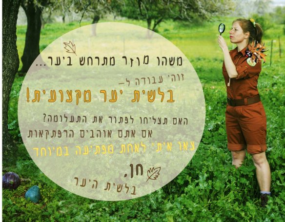 forest poster