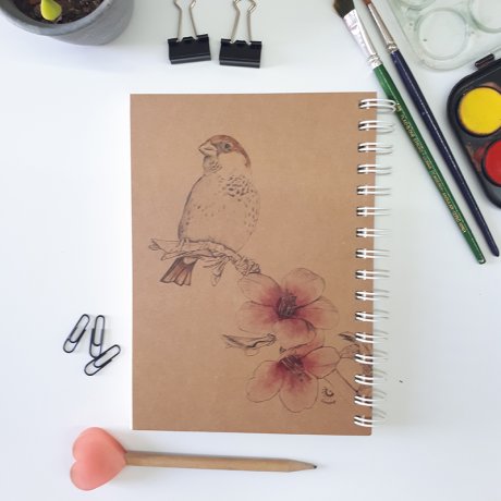 notebook1