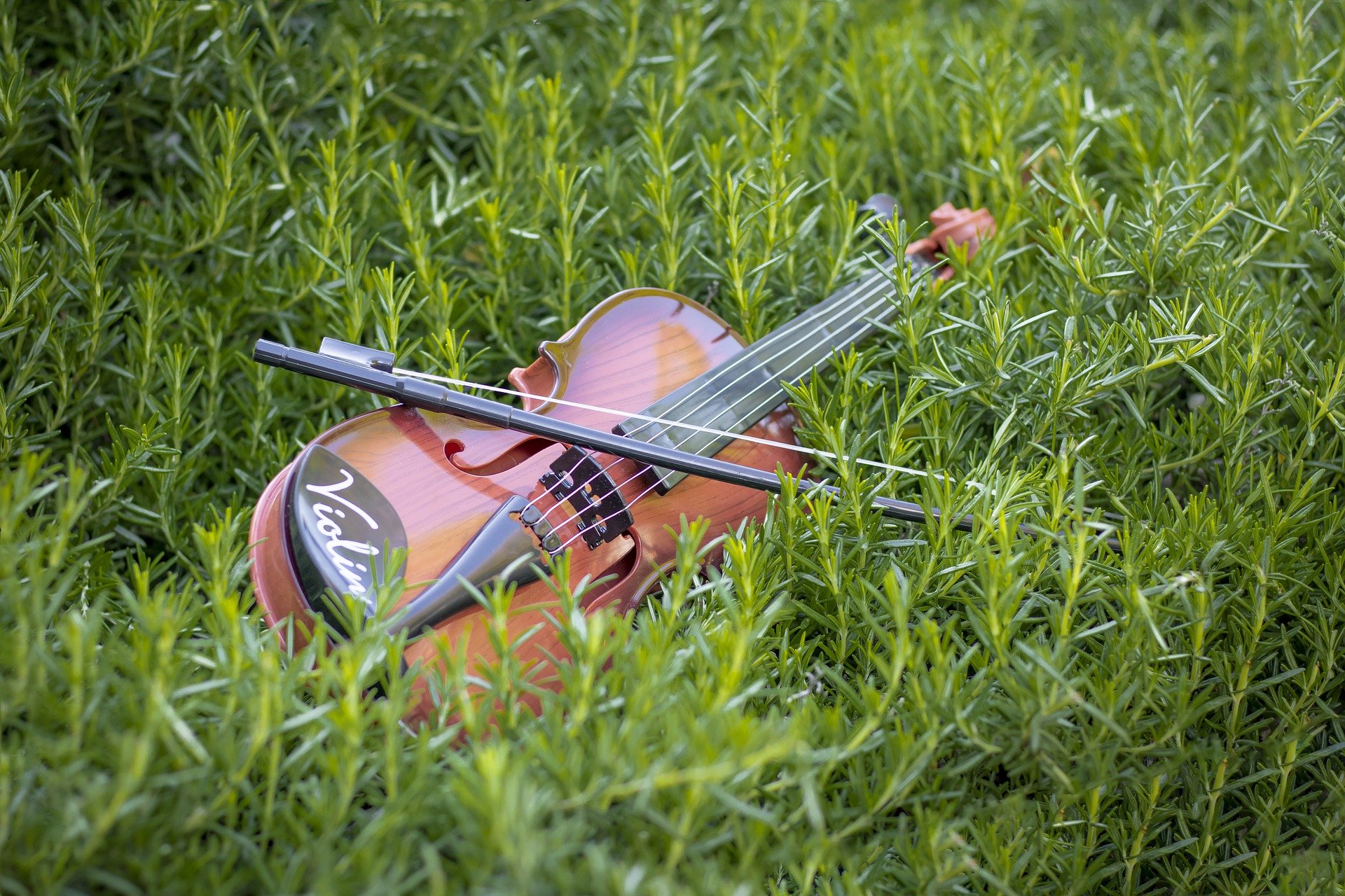 violin-5548761_1920 (1)