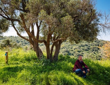 Ramat Hanadiv Nature Park, Israel.