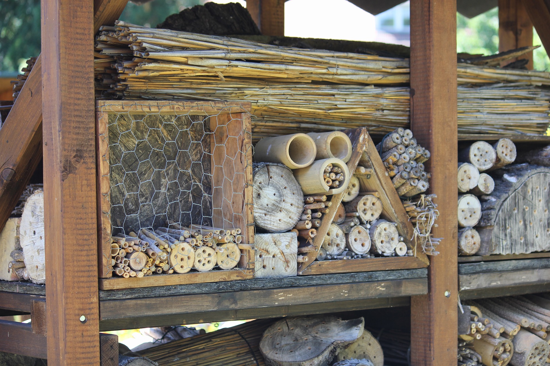 insect-hotel-3571258_1920