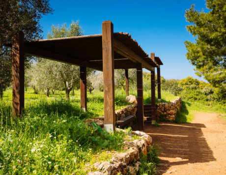 Ramat Hanadiv Nature Park, Israel.