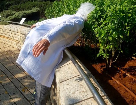 משחק בריחה ברחבי הגנים