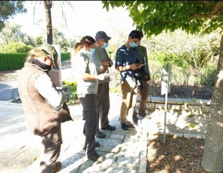 פעילות לקבוצות - קבוצה מנסה לפתור את החידה