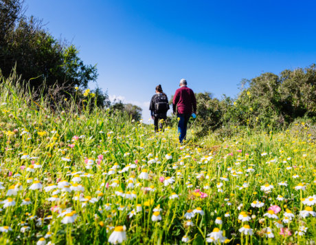 Ramat Hanadiv Nature Park, Israel.